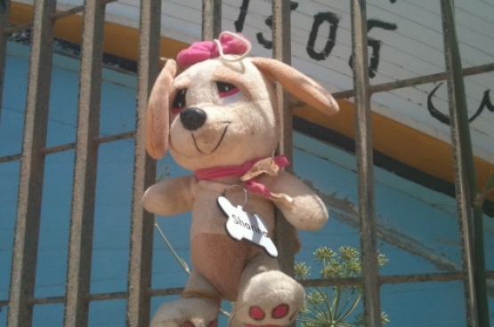 Peluche d'un enfant, retrouvé dans une embarcation de réfugiés à Lampedusa. (Photo Carlo Alfredo Clerici / Flickr)