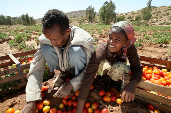 Oxfam veut des systèmes alimentaires équitables et durables dans lesquels les intérêts des producteurs et des travailleurs priment. (Photo World Bank Photo Collection, Flickr)